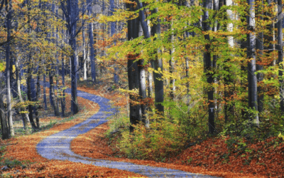 2025, l’année où Cattamada a beaucoup grandi… sans toujours avancer droit