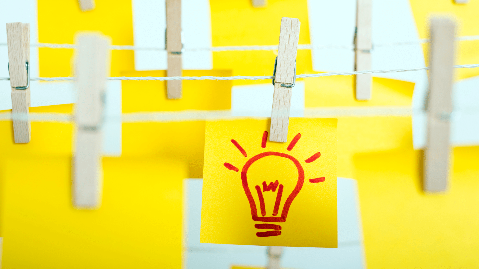 2025-bilan-cattamada