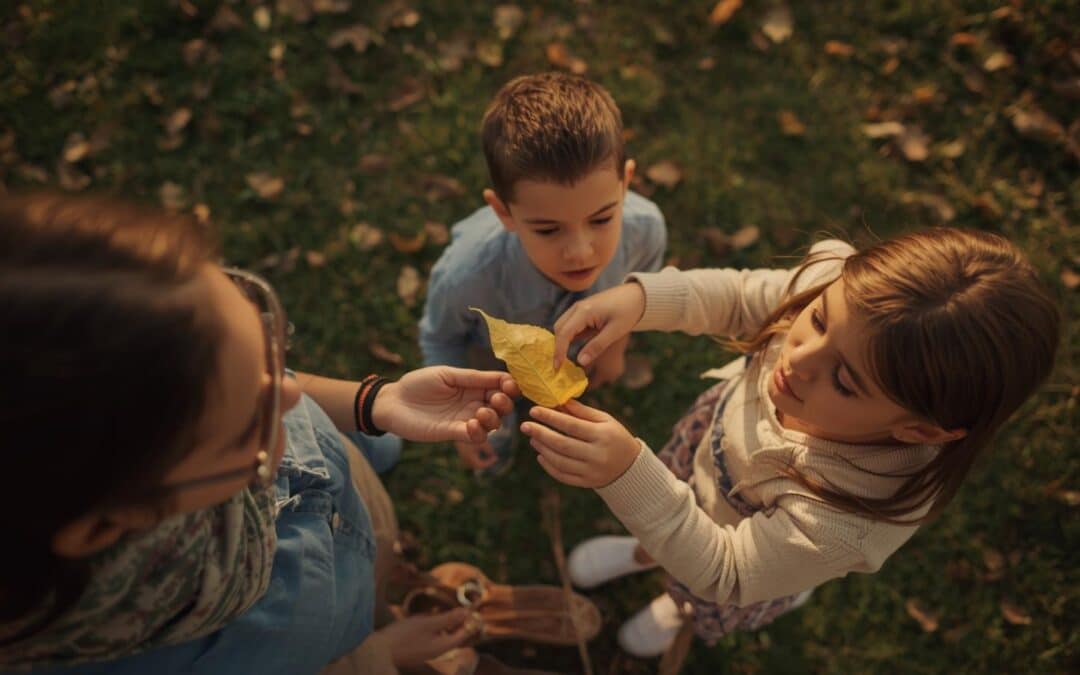 Moins d’activités, plus d’apprentissage : pourquoi l’apprentissage naturel fonctionne vraiment ?