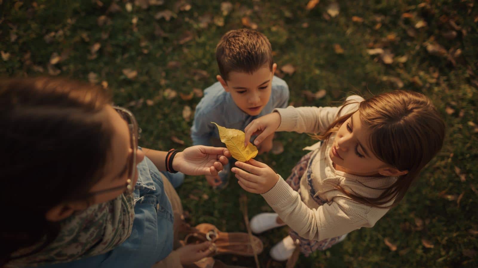 parent et enfant explorant une feuille dans la nature